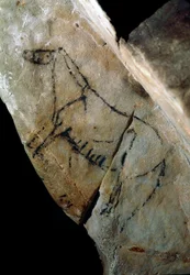 A Horse (rock painting)