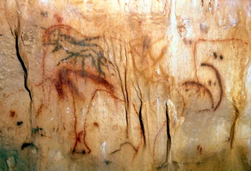 Prehistory: A Wounded Man