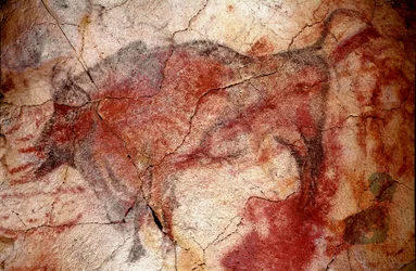 Prehistory: Bison at Rest Rock Painting of the Upper Paleolithic