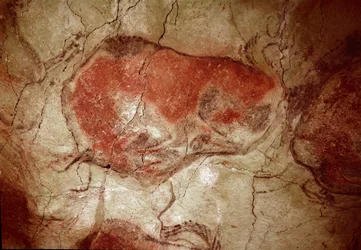 Prehistory: Bison at Rest Rock Painting of the Upper Paleolithic