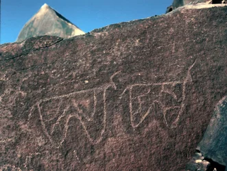 Rock art: grave rock of the representation of cattle (Tazina style, Stone Age 5000-2000 BC)