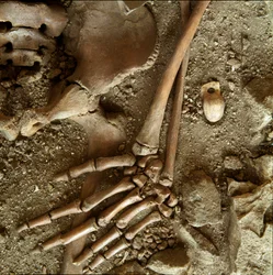 Prehistory: Teenage Sepulture (Detail)