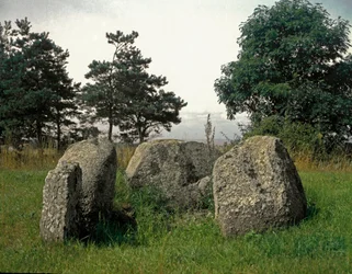 Tomb of the Stone Age