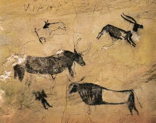 Rock Art: Cervids and Cows. From Spain, El Cogul, Cave dels Moros. Prehistory, Mesolithic
