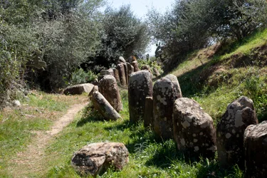 The archeological site of Cromlech M Zora, in Sidi El Yamani (Morocco). Neolithic burial mound (2000 BC), surrounded by 167 monoliths