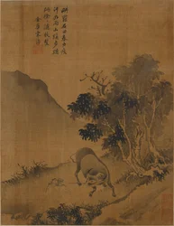 Herd-boy tugging water buffalo