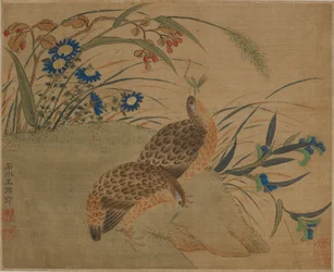 Two quail eating grasshoppers under flowers