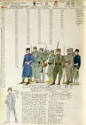 Uniforms of Territorial Militia Corps of Kingdom of Italy