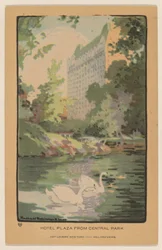 Hotel Plaza from Central Park