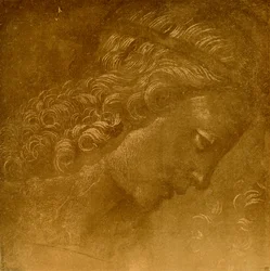 Study on an Angel Head