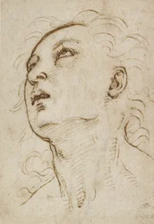 Head of a Young Man Gazing Upwards, c. 1497-1504