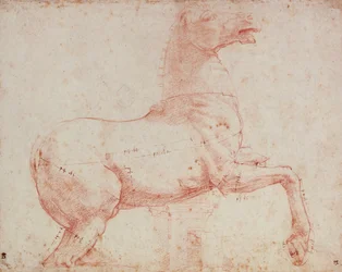 Study for Marble Horse of the Quirinal