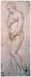 Study of Venus