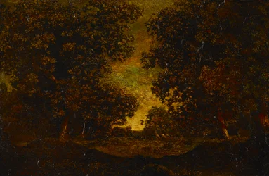 Late Afternoon