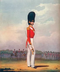 Officer, Grenadier Guards