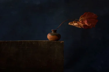 Dark Autumn Still Life