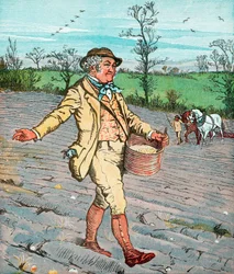 Farmer Sowing Seed Broadcast