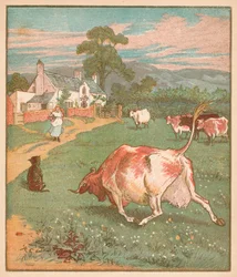 This is the cow with the crumpled horn...