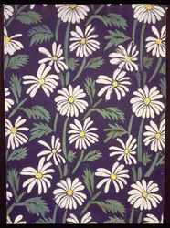 Daisies