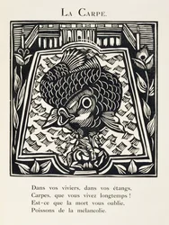 The Carp, Illustration from 