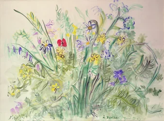 Wild Flowers