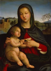 Madonna and Child with Book, c.1502-03