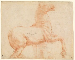 A Marble Horse on the Quirinal Hill (recto), c.1513