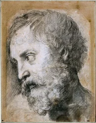 Head of An Apostle (detail)