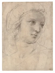 Head of a Muse