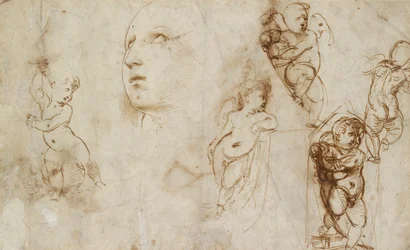 Various Studies, Chiefly for the Borghese-Beckford St Catherine