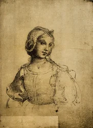 Study of a woman