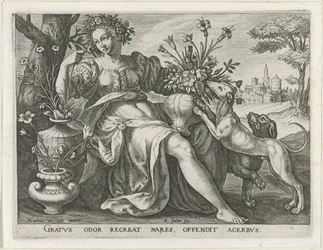 Sense of Smell The Five Senses (series title)