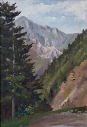 Fir tree and mountain, Pyrenees