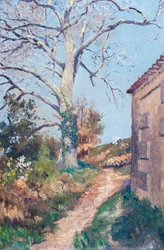 Path with house corner and plane tree, March 18-21