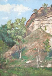 Trees in front of a small cliff