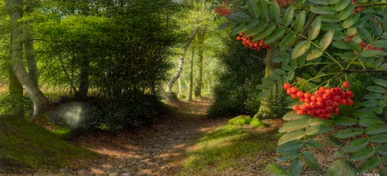 September afternoon at the edge of Adel Woods, 2004