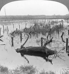 Opened sluices and barbed wire at Nieuwpoort, Belgium, World War I, c1914-c1918