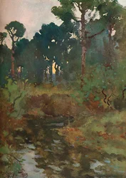 Decorative Landscape Study