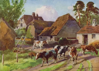 Illustration for My Farm