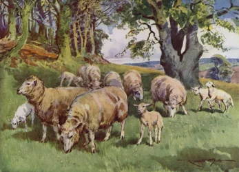 Illustration for My Farm