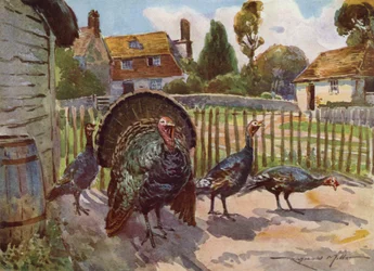 Illustration for My Farm