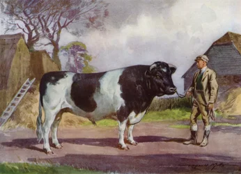 Illustration for My Farm