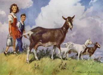 Illustration for My Farm