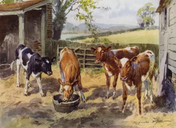 Illustration for My Farm