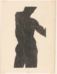 Anatomical Study of the Back and Gluteal Muscles of a Man in Silhouette