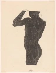 Anatomical Study of the Back and Gluteal Muscles of a Man in Silhouette