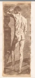 Standing Boy Seen from the Back