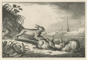 Dune Landscape with Rabbits (Diversa Animalia Quadrupedia) (series title)