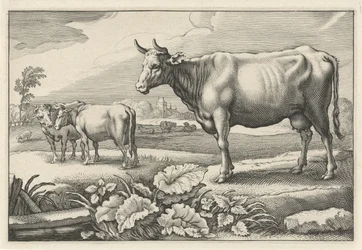 Pasture with Cows