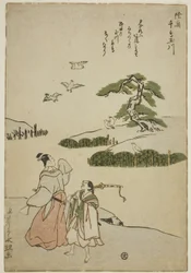The Jewel River of Plovers in Mutsu Province, from an Untitled Series of Six Jewel Rivers